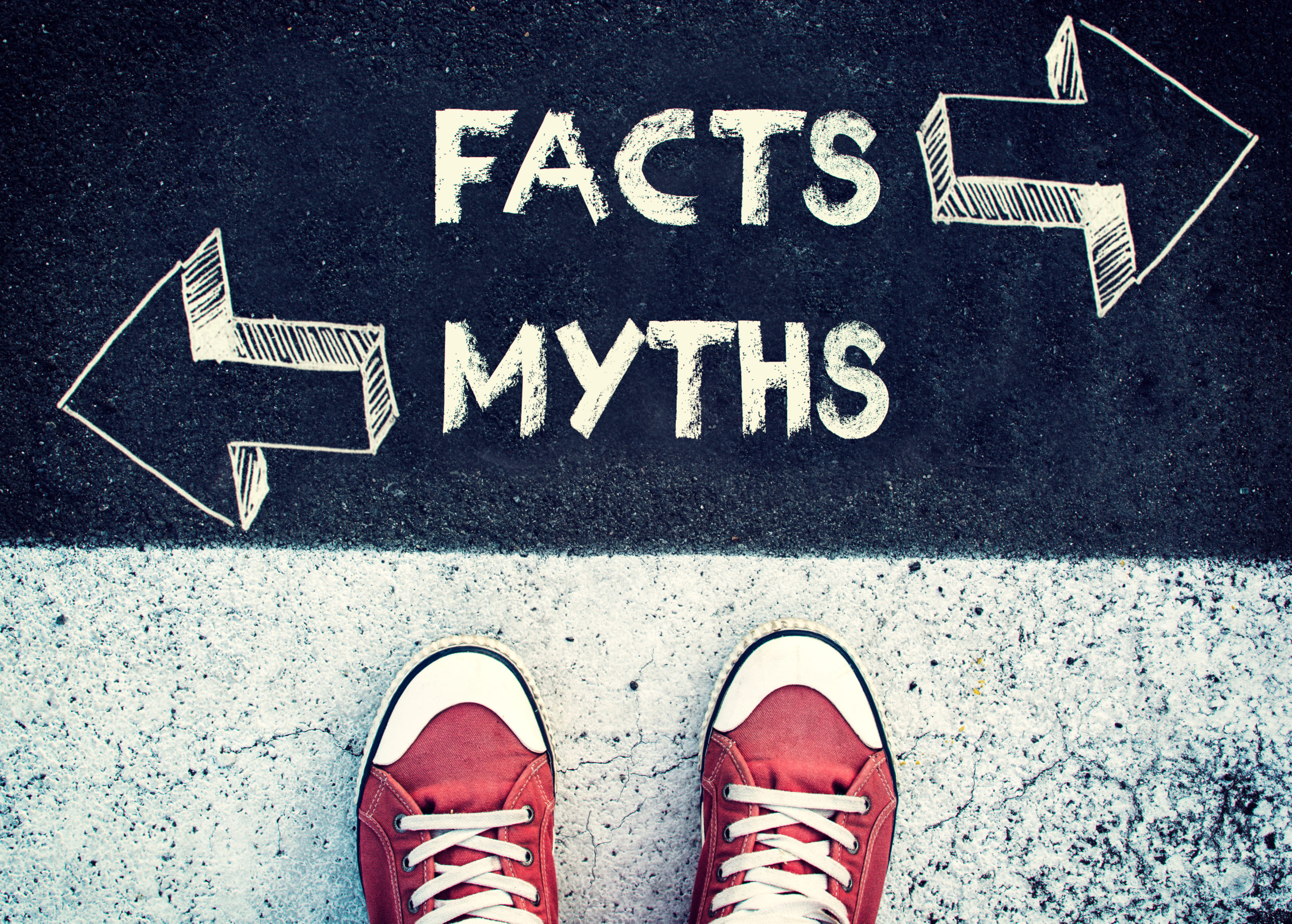 Person Standing Over A Road With Fact Of Myth Written On It